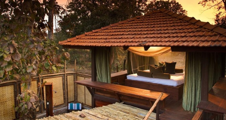 Wildlife Resorts in India – Make Your Holidays Memorable